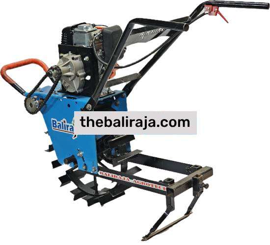 Baliraja Yantra BALI-N-2.5 - Image 3