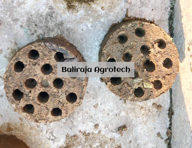 Gobar Cake Maker - Image 3